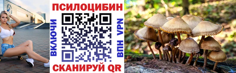 где купить наркоту  мориарти формула  Псилоцибиновые грибы Psilocybe  Маркс  MEGA зеркало 